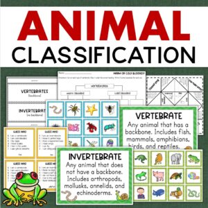 animal classification activities